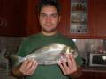 tsipoura 1200gr  24-05-2008