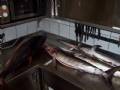100_2474_(Small)