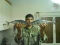 DSC00014