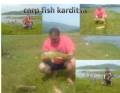 carp