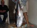  50 Kg  , 2004.