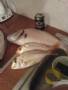 DSC00023