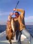 pic_011 (Small)