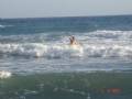 DSC07442 (Small)