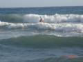 DSC07443 (Small)