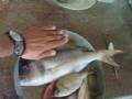 DSC00048