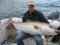 Amberjack ,��������� 45 kg / 1,65cm