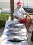 Tuna Fishing