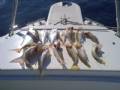 12052009062 (Small)