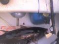 ALBACORE 16 