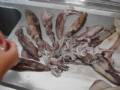 DSC00970_resize
