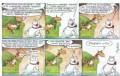 ARKAS1