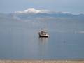 Demir_IMG_7456a